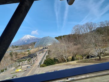 とっとり花回廊に投稿された画像（2024/3/27）