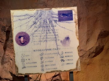 とっとり花回廊に投稿された画像（2024/3/27）