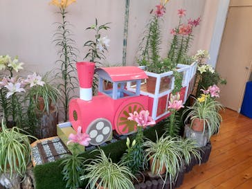 とっとり花回廊に投稿された画像（2024/3/27）