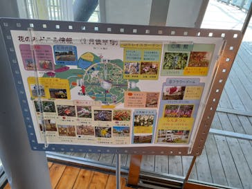 とっとり花回廊に投稿された画像（2024/3/27）