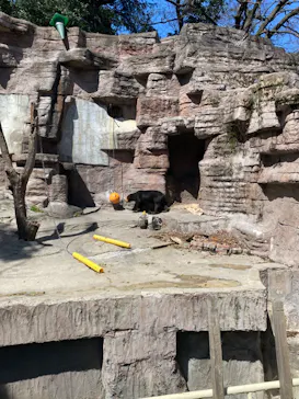 天王寺動物園に投稿された画像（2024/3/27）