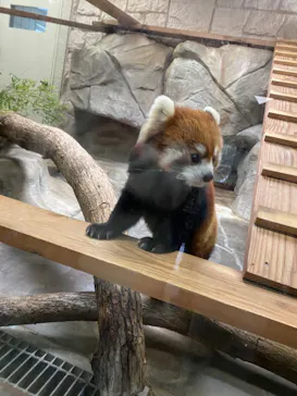 天王寺動物園に投稿された画像（2024/3/27）