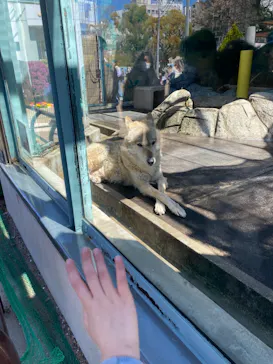 天王寺動物園に投稿された画像（2024/3/27）