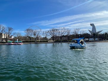 万博記念公園に投稿された画像（2024/3/27）