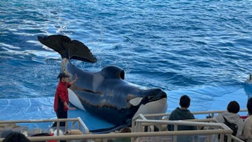 名古屋港水族館に投稿された画像（2024/3/27）