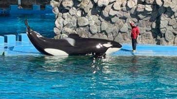 名古屋港水族館に投稿された画像（2024/3/27）