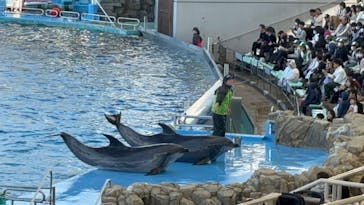 名古屋港水族館に投稿された画像（2024/3/27）