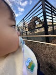 宇都宮動物園に投稿された画像（2024/3/27）