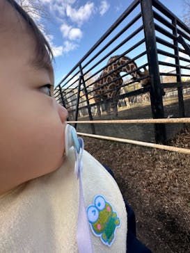 宇都宮動物園に投稿された画像（2024/3/27）