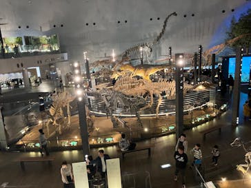 福井県立恐竜博物館に投稿された画像（2024/3/27）