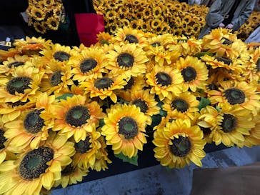 ゴッホ・アライブに投稿された画像（2024/3/27）