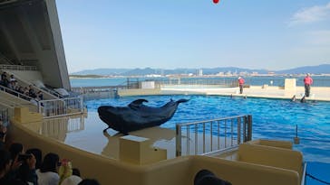 マリンワールド海の中道に投稿された画像（2024/3/27）