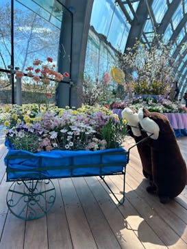 環境水族館アクアマリンふくしまに投稿された画像（2024/3/27）