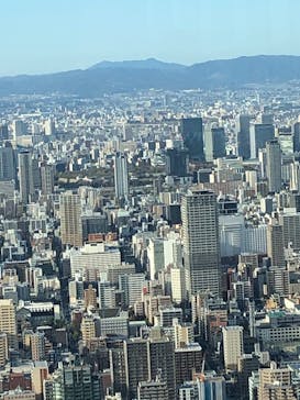 ハルカス300(展望台)に投稿された画像（2024/3/27）