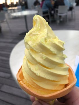 ハルカス300(展望台)に投稿された画像（2024/3/27）