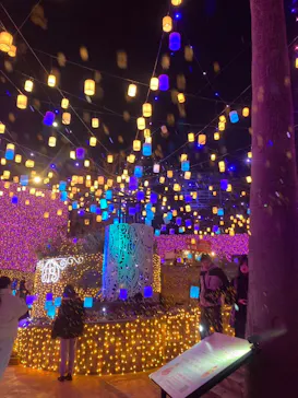 ひらかたパークに投稿された画像（2024/3/27）