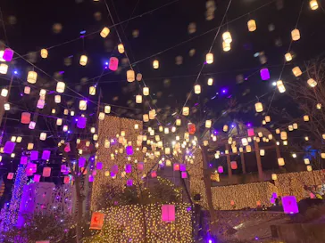 ひらかたパークに投稿された画像（2024/3/27）