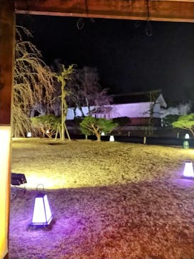 NAKED meets 二条城 2025 観月に投稿された画像（2024/3/27）