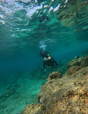 武藤潜水に投稿された画像（2024/3/28）