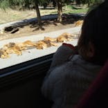 群馬サファリパークに投稿された画像（2024/3/28）