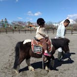 群馬サファリパークに投稿された画像（2024/3/28）