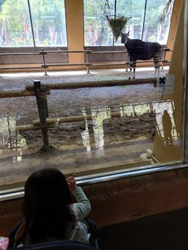 よこはま動物園ズーラシアに投稿された画像（2024/3/28）