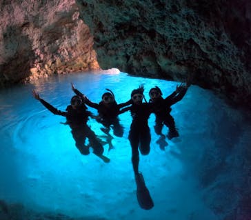 沖縄マリンサービス碧に投稿された画像（2024/3/28）