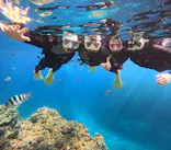 沖縄マリンサービス碧に投稿された画像（2024/3/28）