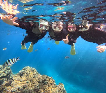 沖縄マリンサービス碧に投稿された画像（2024/3/28）