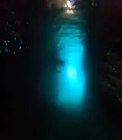 武藤潜水に投稿された画像（2024/3/28）