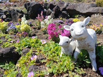 ニューヨークランプミュージアム＆フラワーガーデンに投稿された画像（2024/3/28）