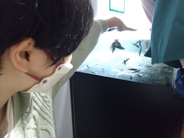 カワスイ 川崎⽔族館に投稿された画像（2024/3/28）