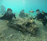 武藤潜水に投稿された画像（2024/3/28）