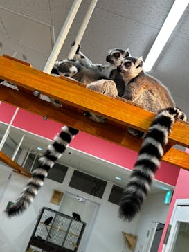 アニタッチ MARK IS 静岡に投稿された画像（2024/3/28）