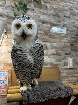 アニタッチ MARK IS 静岡に投稿された画像（2024/3/28）