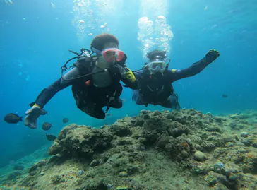 武藤潜水に投稿された画像（2024/3/28）