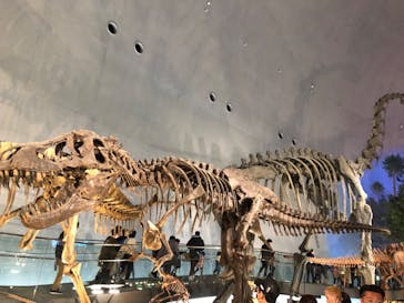 福井県立恐竜博物館に投稿された画像（2024/3/28）