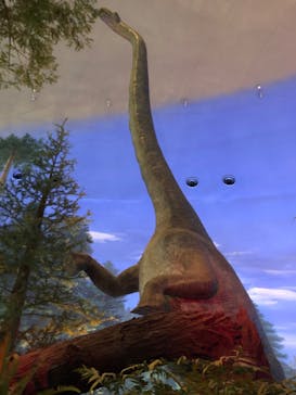 福井県立恐竜博物館に投稿された画像（2024/3/28）