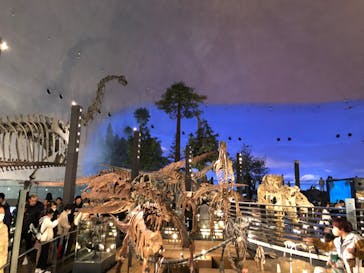 福井県立恐竜博物館に投稿された画像（2024/3/28）