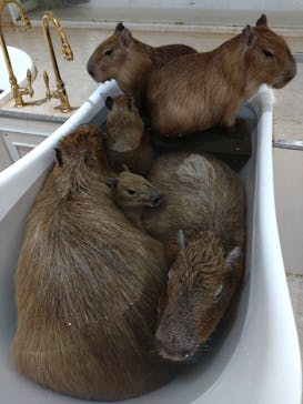 アニタッチららぽーと名古屋みなとアクルスに投稿された画像（2024/3/28）