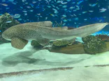 サンシャイン水族館に投稿された画像（2024/3/28）
