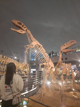 福井県立恐竜博物館に投稿された画像（2024/3/28）