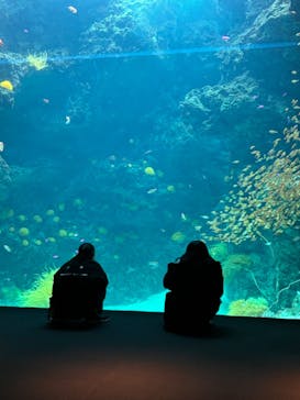 環境水族館アクアマリンふくしまに投稿された画像（2024/3/28）