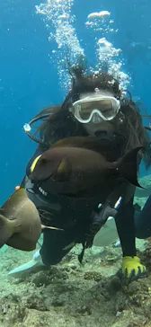 武藤潜水に投稿された画像（2024/3/28）