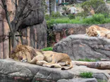 天王寺動物園に投稿された画像（2024/3/28）