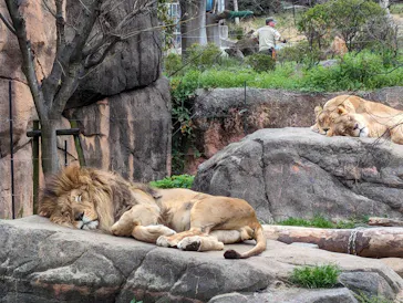 天王寺動物園に投稿された画像（2024/3/28）