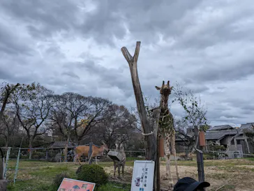 天王寺動物園に投稿された画像（2024/3/28）