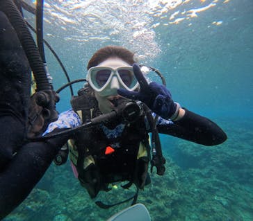 沖縄マリンサービス碧に投稿された画像（2024/3/28）