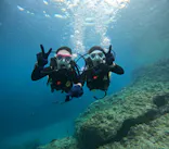 沖縄マリンサービス碧に投稿された画像（2024/3/28）