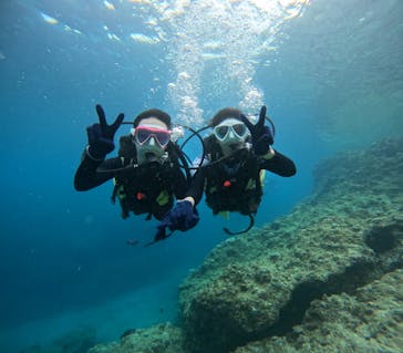 沖縄マリンサービス碧に投稿された画像（2024/3/28）